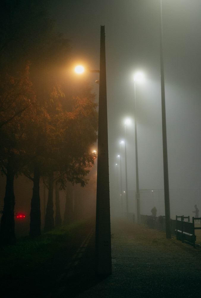 Streetlamps shining through fog
