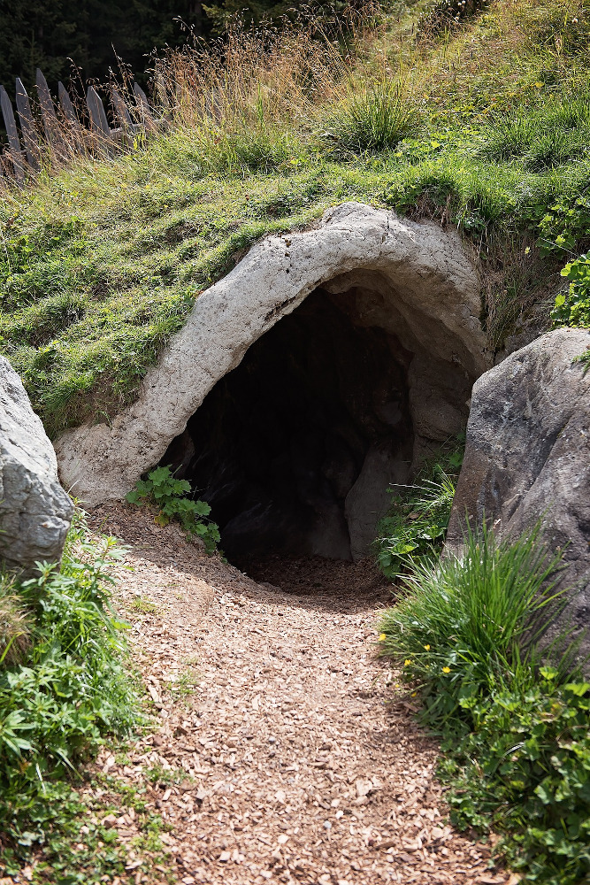 Cave entrance almost hidden under grass